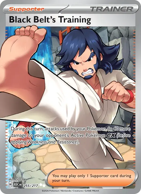 Black Belt's Training - 255/295 - Ascended Heroes