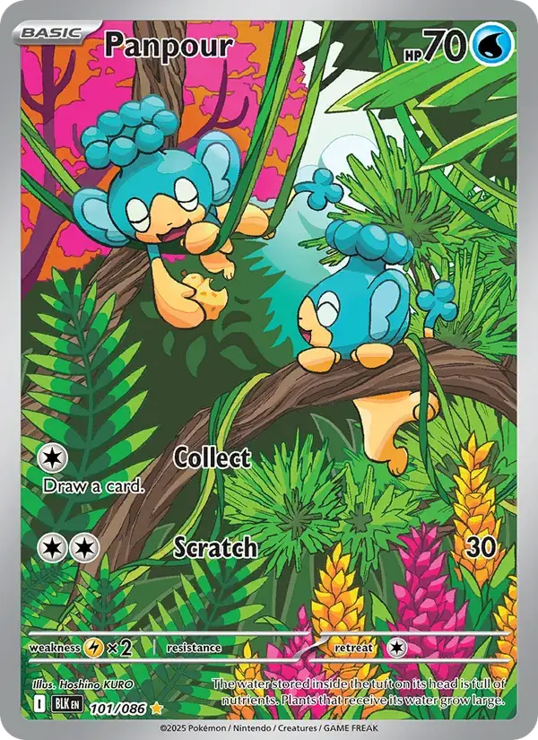 Panpour - 101/172 - Black Bolt