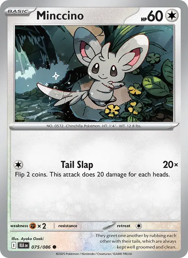 Minccino - 075/172 - Black Bolt
