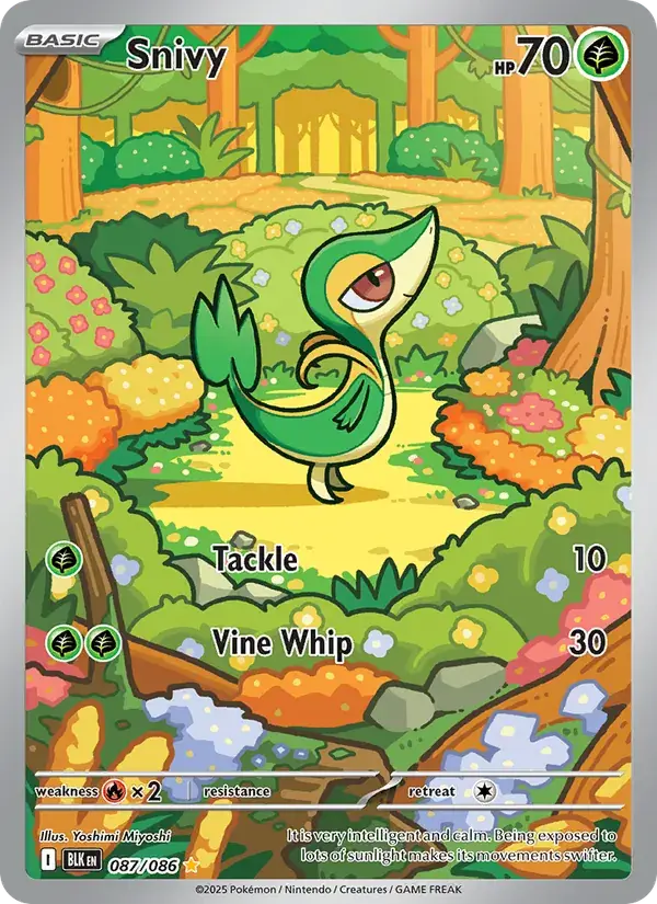 Snivy - 087/172 - Black Bolt