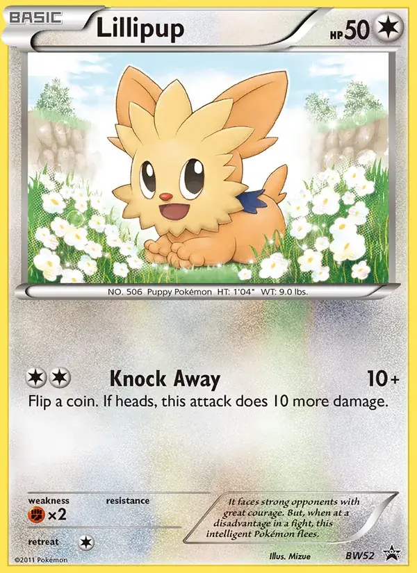 Lillipup - BW52/101 - BW Black Star Promos