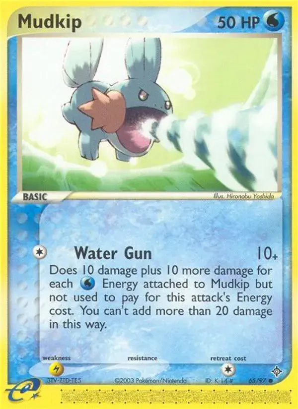 Mudkip - 65/100 - Dragon