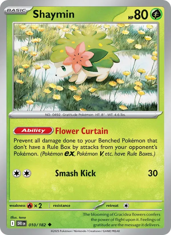 Shaymin - 010/244 - Destined Rivals