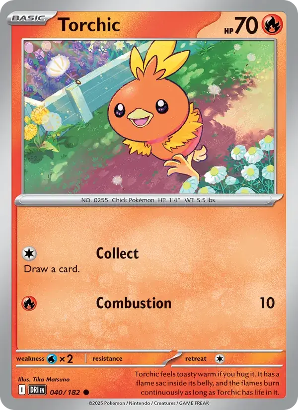 Torchic - 040/244 - Destined Rivals