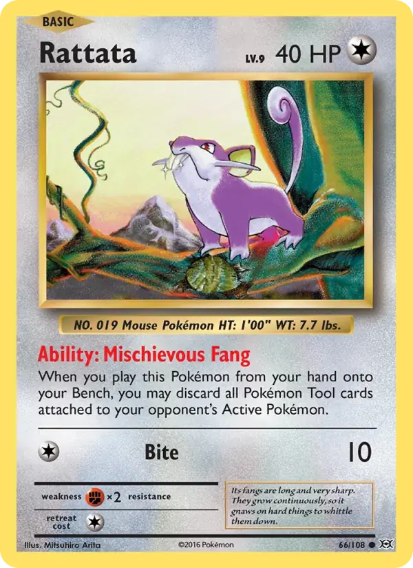 Rattata - 66/113 - Evolutions
