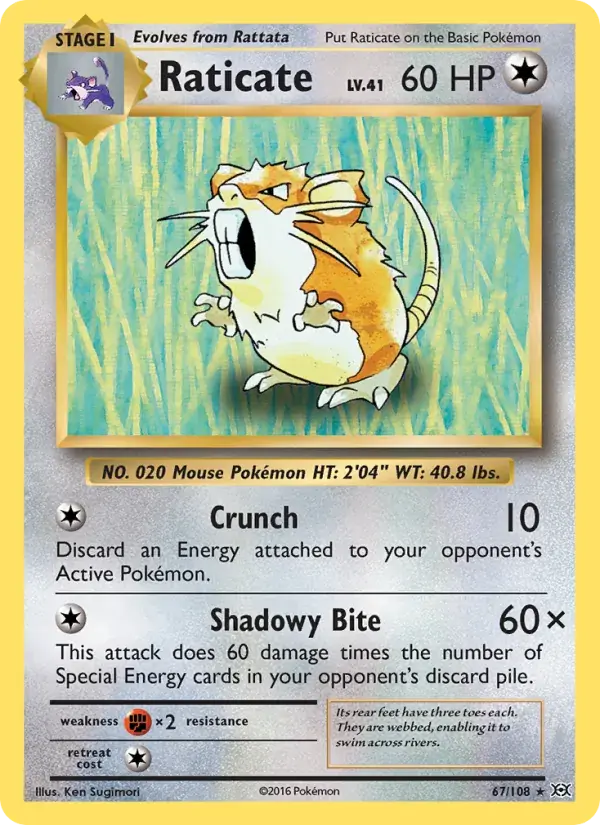 Raticate - 67/113 - Evolutions