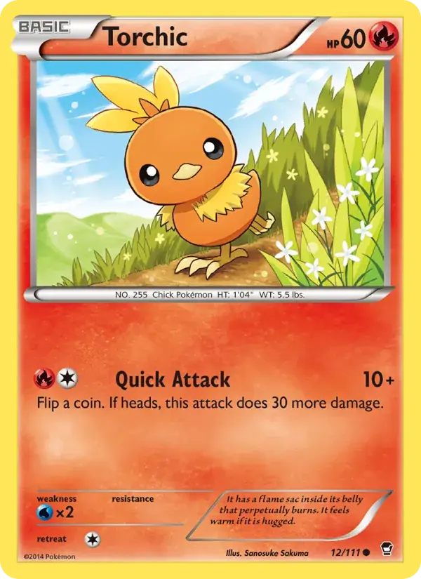 Torchic - 12/114 - Furious Fists