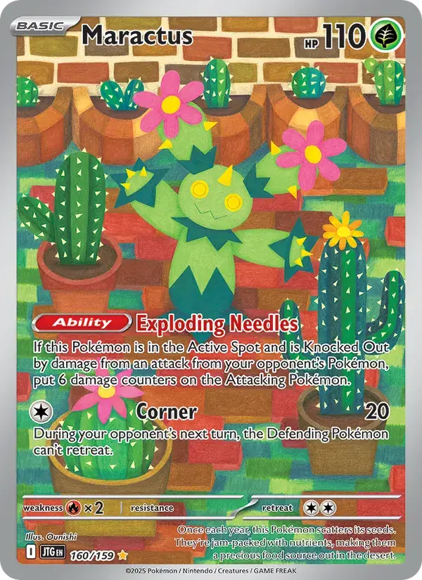 Maractus - 160/190 - Journey Together