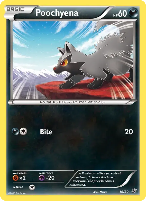 Poochyena - 16/39 - Kalos Starter Set