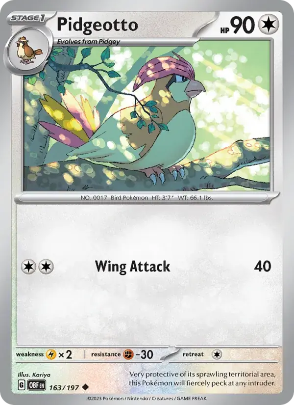 Pidgeotto - 163/230 - Obsidian Flames