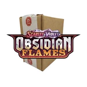 Obsidian Flames 24 Sleeved Booster Case