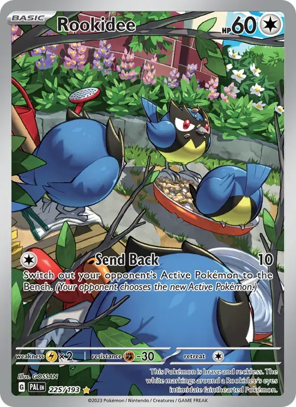 Rookidee - 225/279 - Paldea Evolved