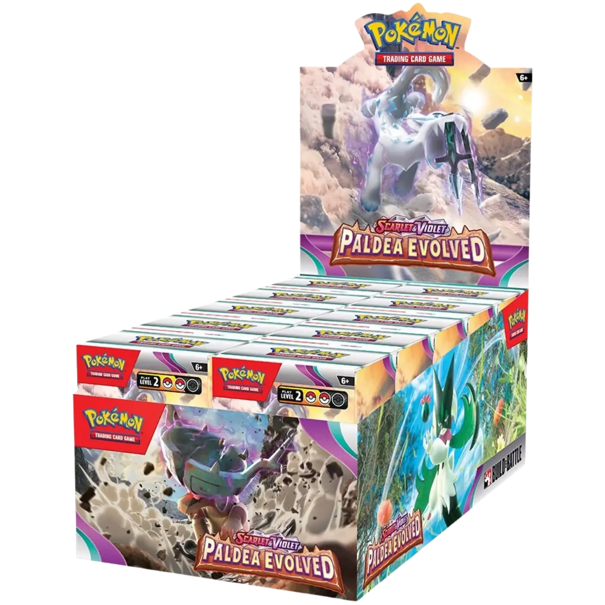 Paldea Evolved: Build & Battle Box Display