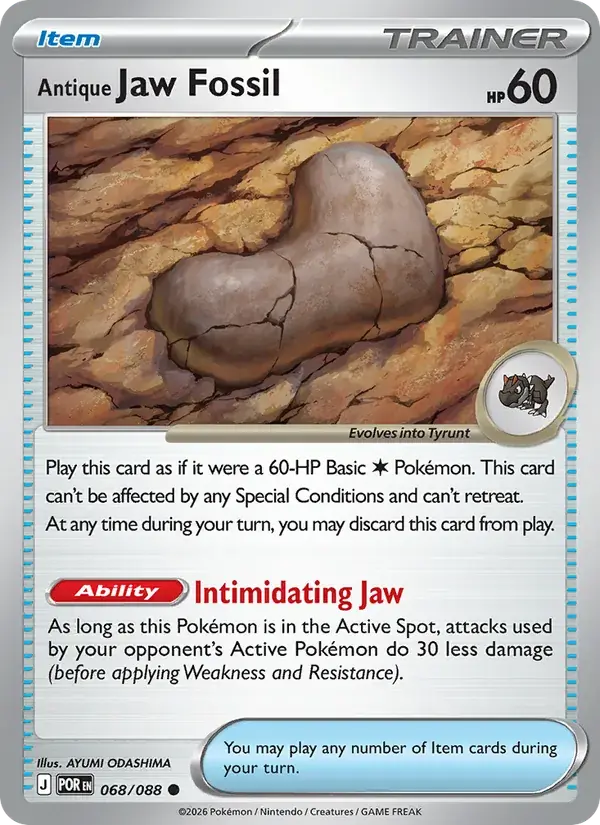 Antique Jaw Fossil - 068/124 - Perfect Order