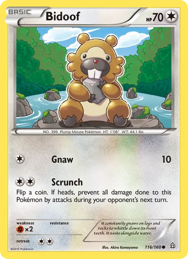 Bidoof - 116/164 - Primal Clash