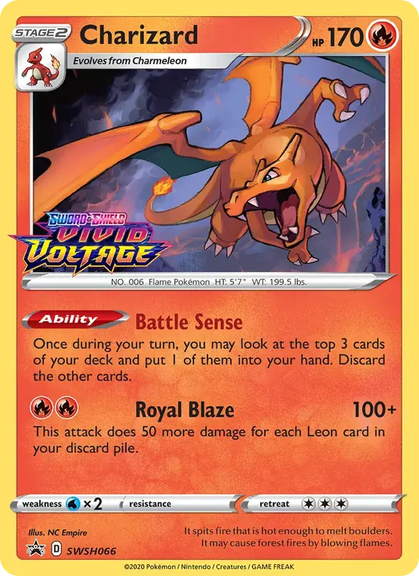Charizard - SWSH066/307 - SWSH Black Star Promos