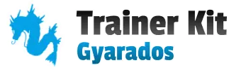 HS trainer Kit (Gyarados)