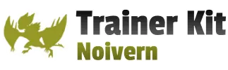 XY trainer Kit (Noivern)