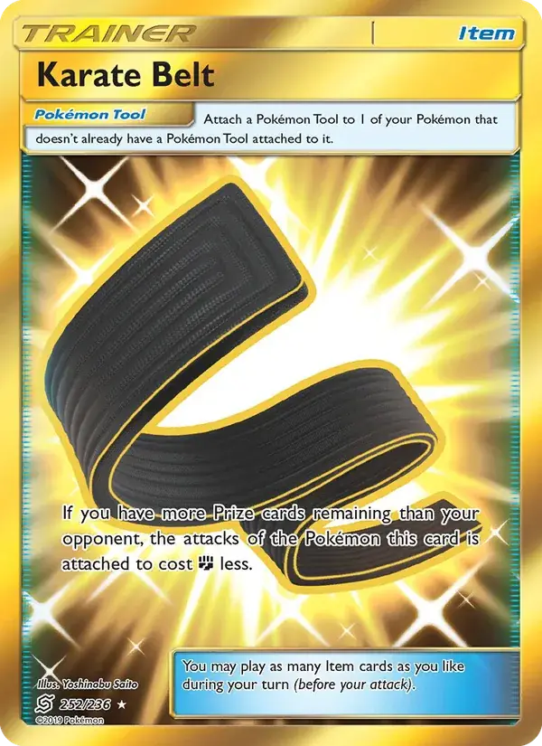Karate Belt - 252/258 - Unified Minds