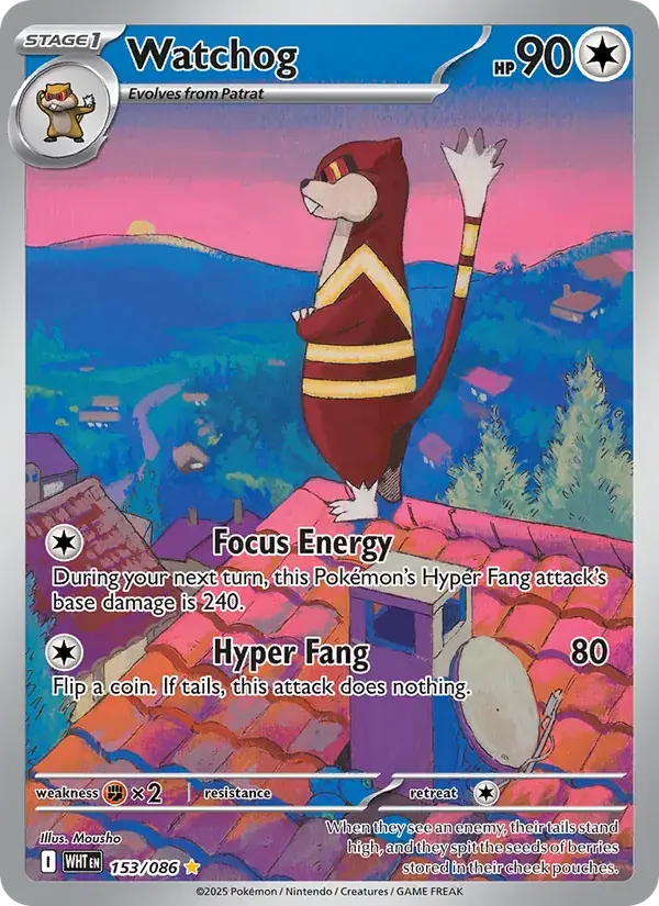 Watchog - 153/173 - White Flare