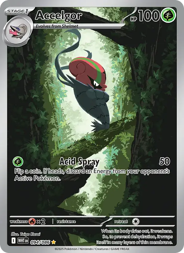 Accelgor - 094/173 - White Flare