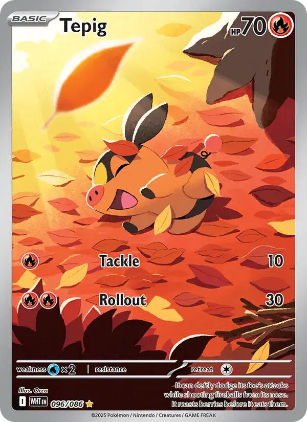 Tepig - 096/173 - White Flare