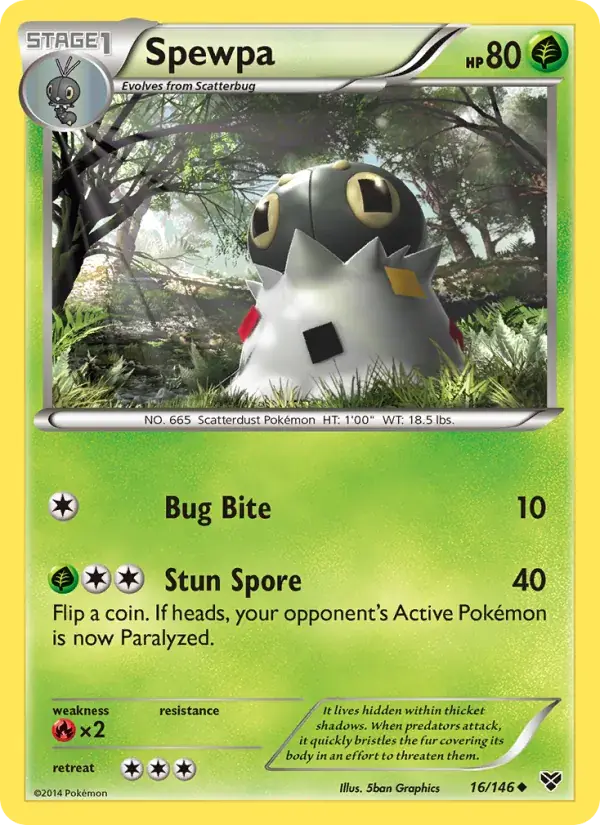 Spewpa - 16/146 - XY