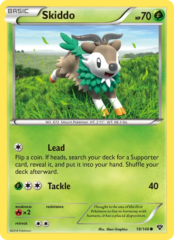Skiddo - 18/146 - XY