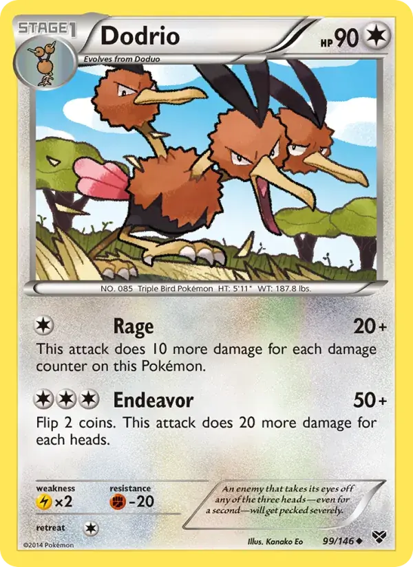 Dodrio - 99/146 - XY