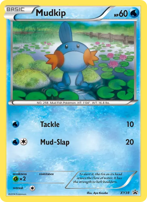 Mudkip - XY38/216 - XY Black Star Promos