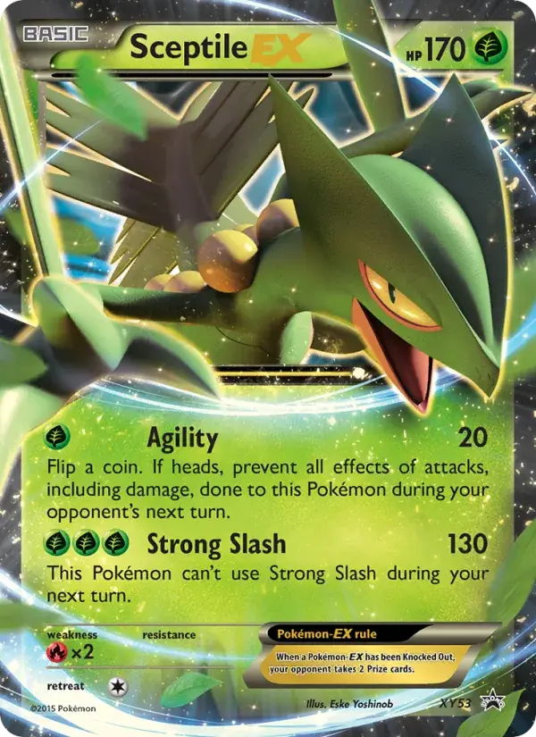 Sceptile EX - XY53/216 - XY Black Star Promos