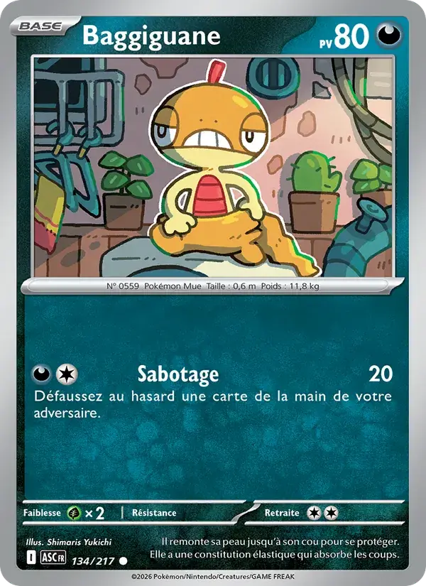 Baggiguane - 134/295 - Héros Transcendants