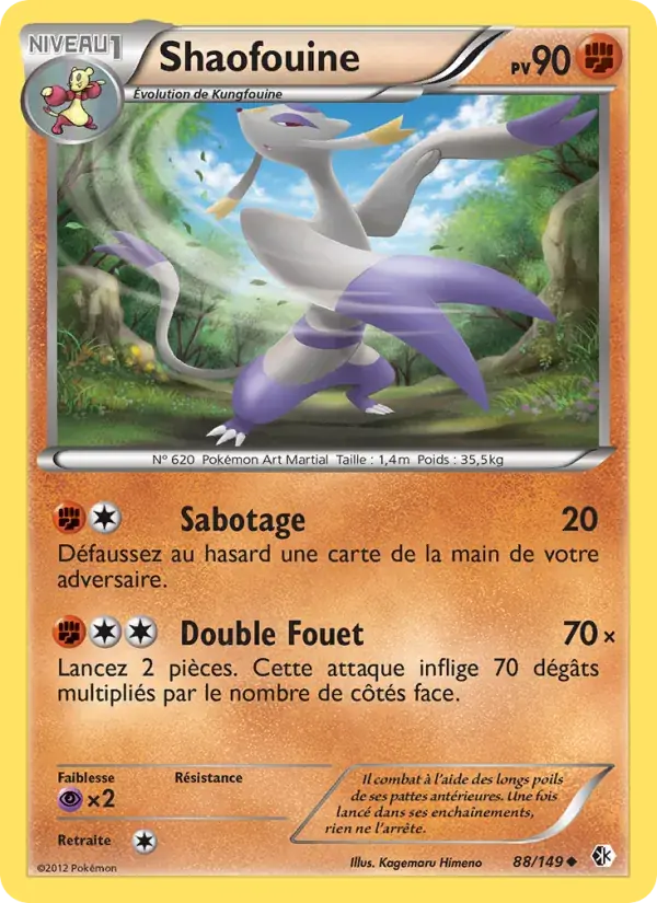 Shaofouine - 88/153 - Frontières Franchies