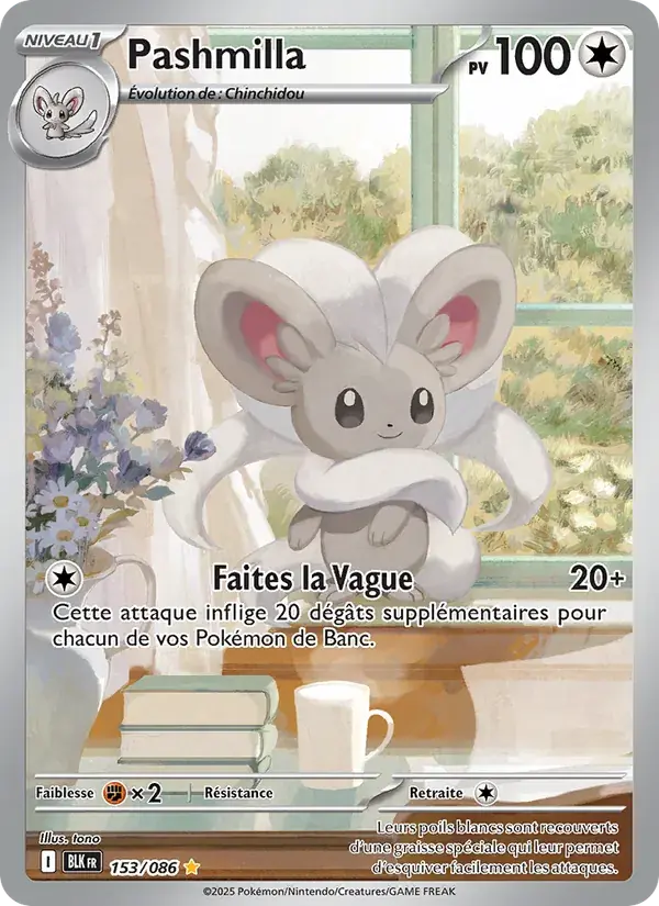 Pashmilla - 153/172 - Foudre Noire