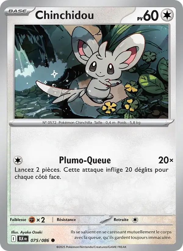 Chinchidou - 075/172 - Foudre Noire