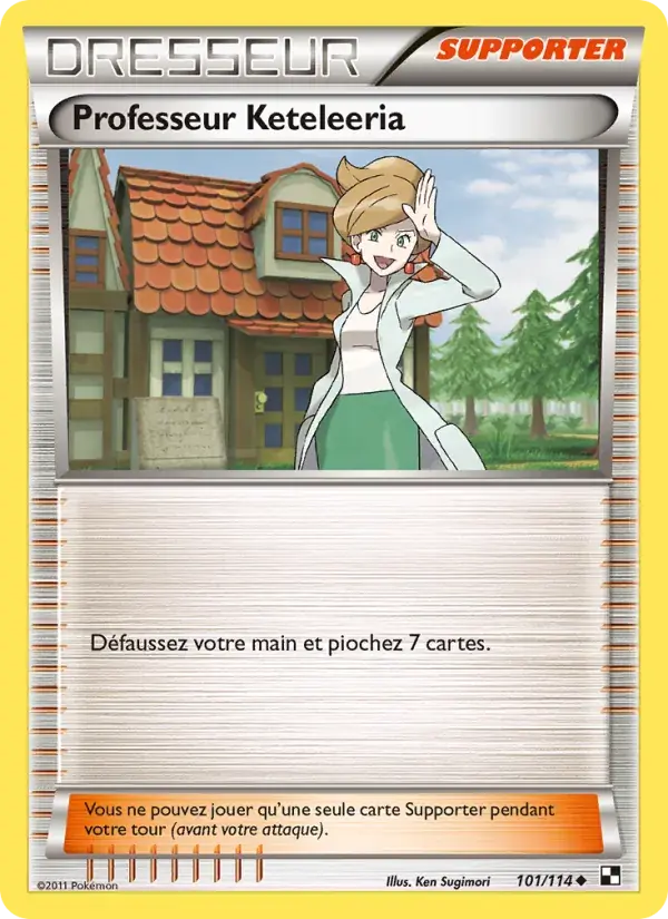 Professeur Keteleeria - 101/115 - Noir & Blanc