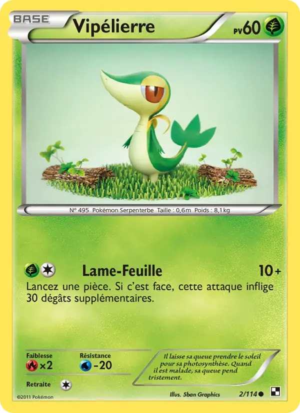 Vipélierre - 2/115 - Noir & Blanc
