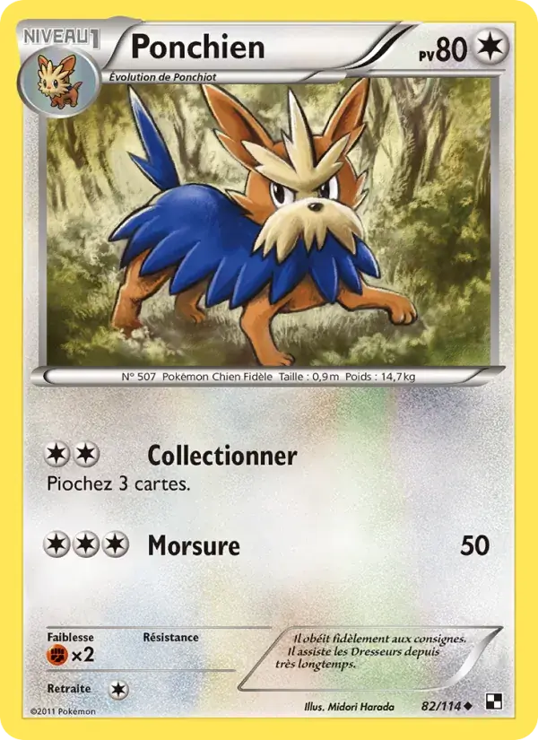 Ponchien - 82/115 - Noir & Blanc