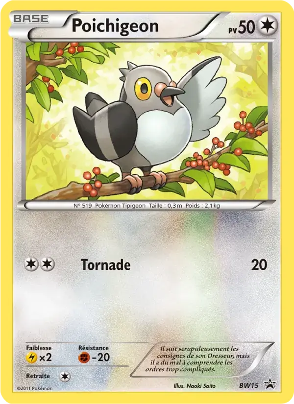 Poichigeon - BW15/101 - Promo BW