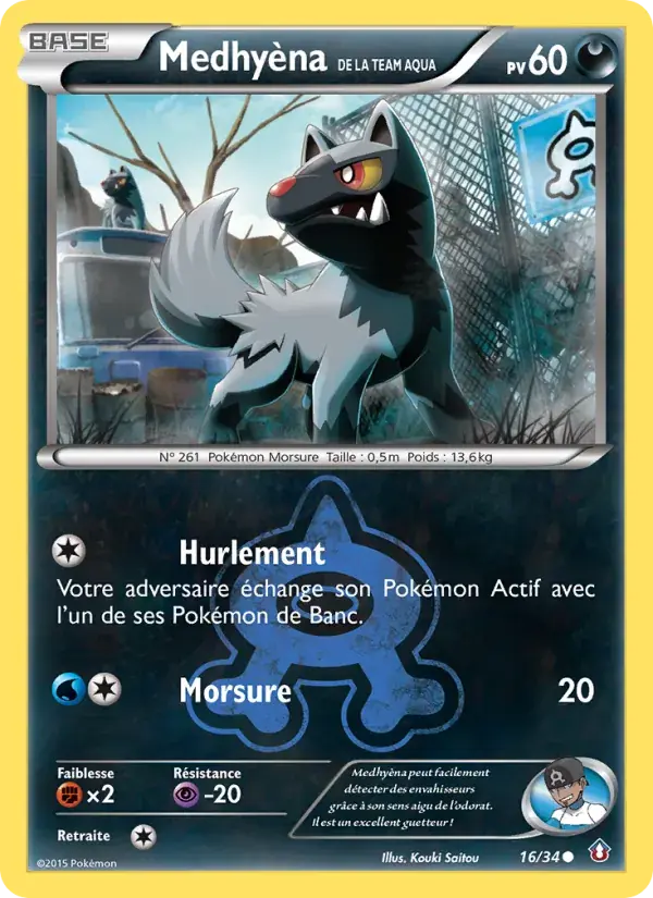 Medhyèna de la Team Aqua - 16/34 - Double Danger