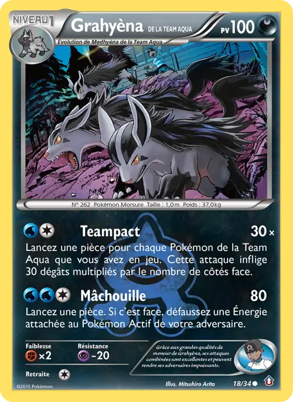 Grahyèna de la Team Aqua - 18/34 - Double Danger