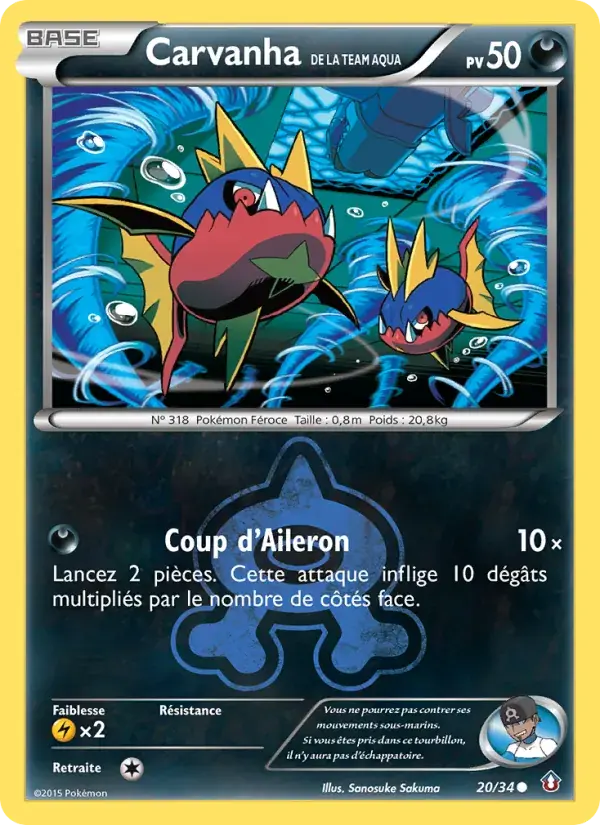 Carvanha de la Team Aqua - 20/34 - Double Danger