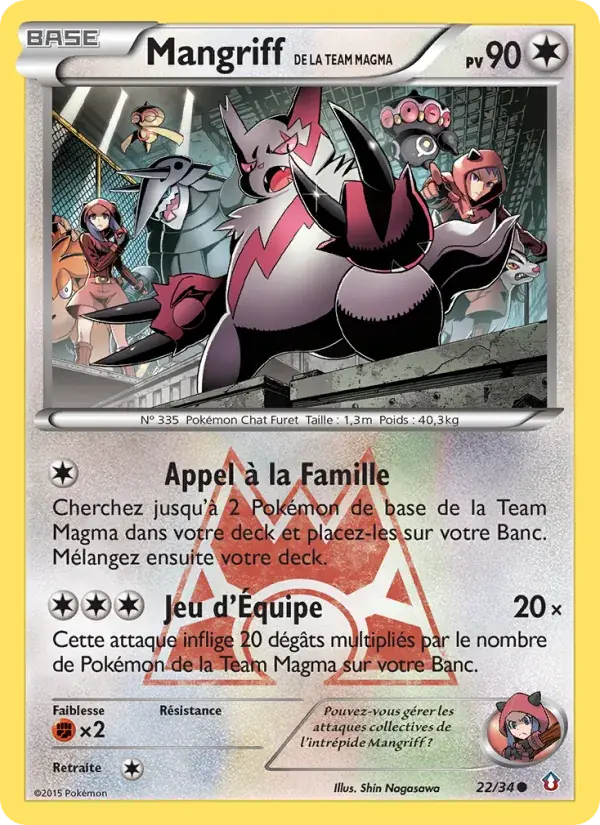 Mangriff de la Team Magma - 22/34 - Double Danger