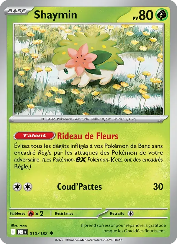 Shaymin - 010/244 - Rivalités Destinées