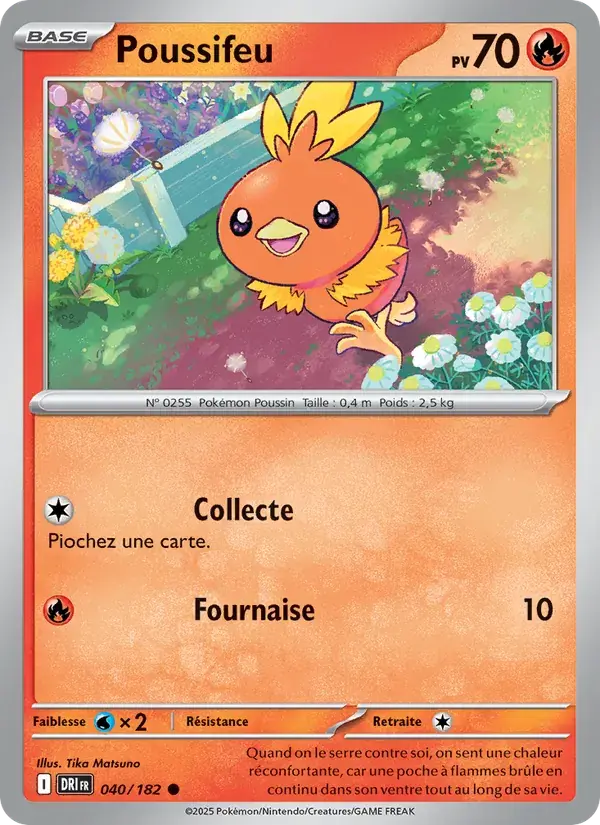 Poussifeu - 040/244 - Rivalités Destinées