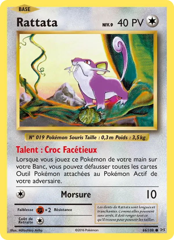 Rattata - 66/113 - Évolutions