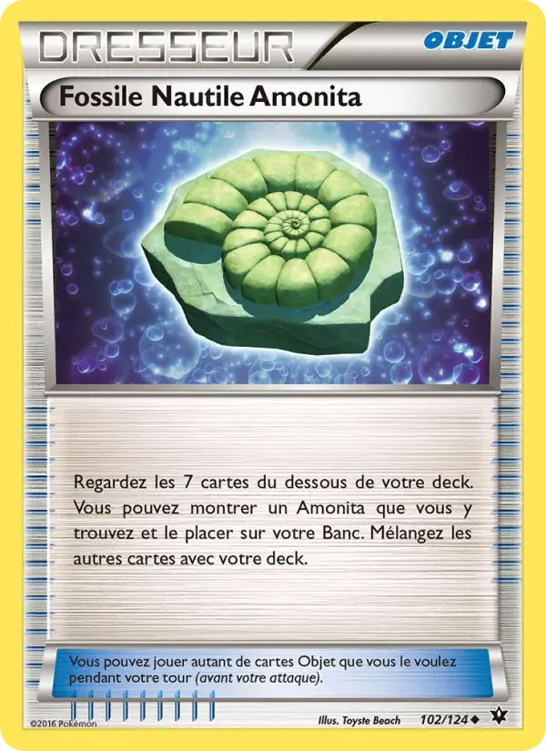 Fossile Nautile Amonita - 102/129 - Impact des Destins