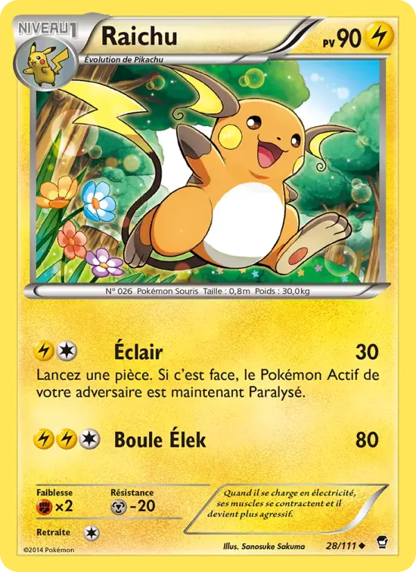 Raichu - 28/114 - Poings Furieux