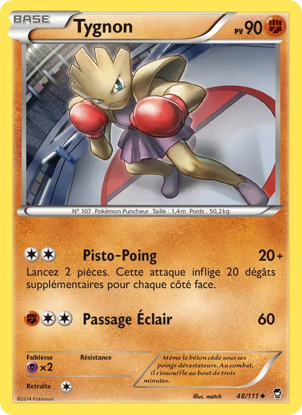 Tygnon - 48/114 - Poings Furieux