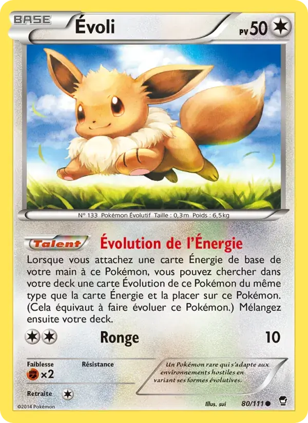 Évoli - 80/114 - Poings Furieux